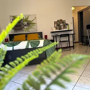 Cosy & Zen Centre Appartement
